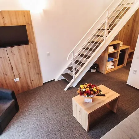 Hotel Domnitei